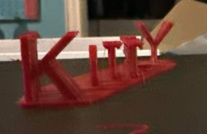 Printed viewing-angle name design seen from the Kitty direction